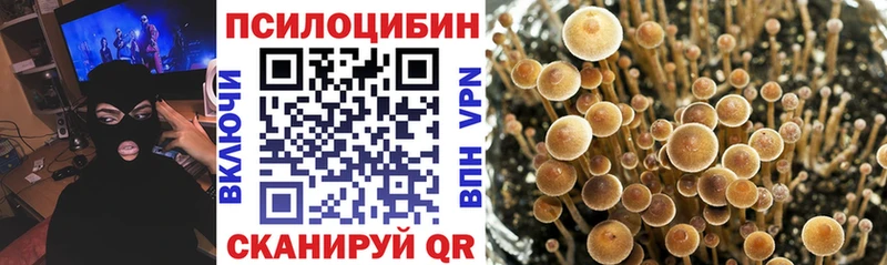 Галлюциногенные грибы мухоморы  Купить закладки  Татарск 